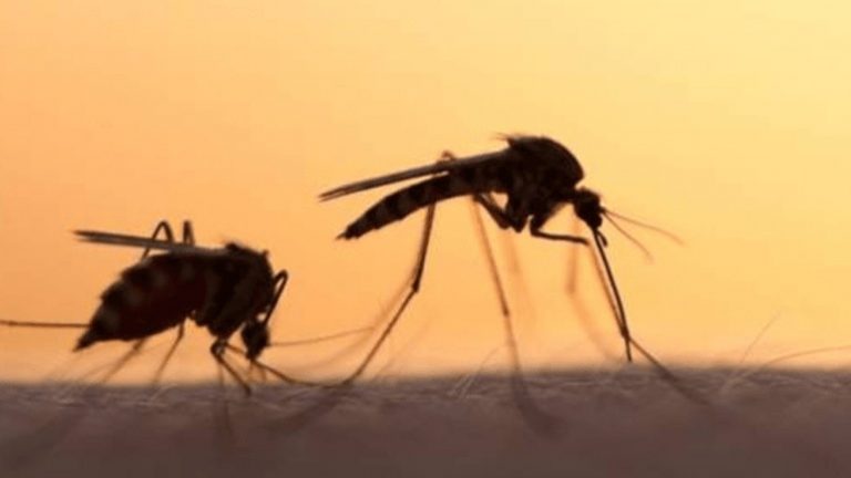 Τετράχρονο κορίτσι πέθανε από ελονοσία