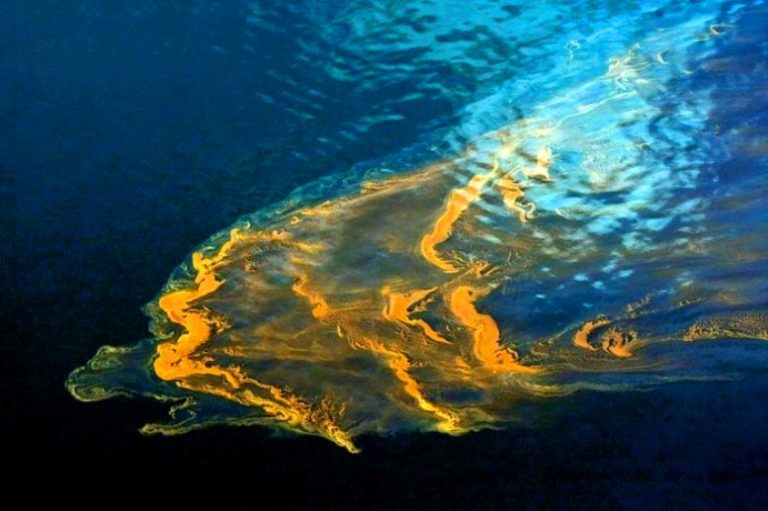 Καληνύχτα Αττική σε γ@μησαν οι άσχετοι με τις οικολογοπαπαριες τους!! Cynthia: Το Συνθετικό Βακτήριο που τρώει σάρκα και έχει ξεφύγει από τον έλεγχο !!!