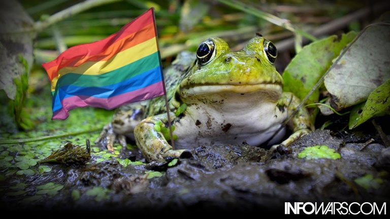 Οι ομοφυλόφιλοι βατραχοί είναι πραγματικοί: ο Alex Jones είχε δίκιο