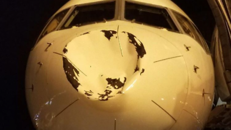 Εκαστος στο είδος του ρε Σταρ!!