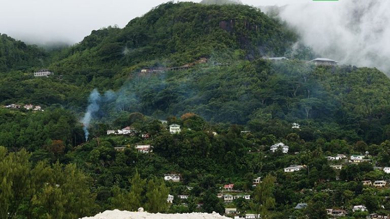 Εμφάνιση πανώλης στη Μαδαγασκάρη