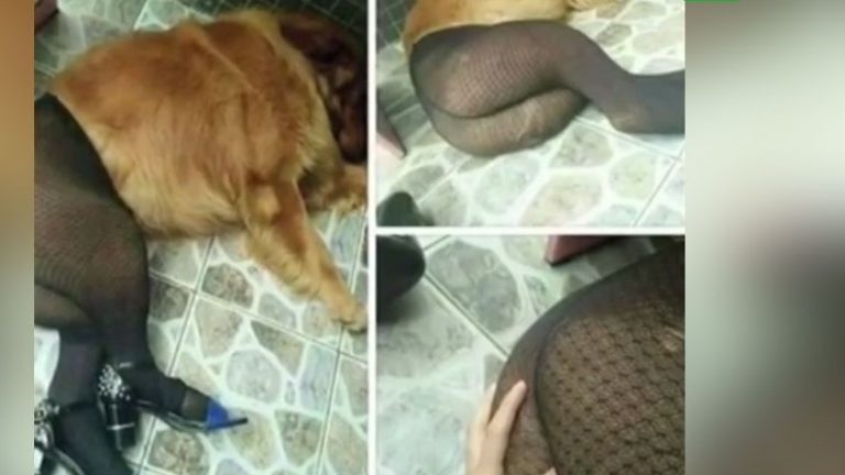 Η διαστροφή στα Ευρωπαϊκά κράτη έχει ξεπεράσει κάθε προηγούμενο.