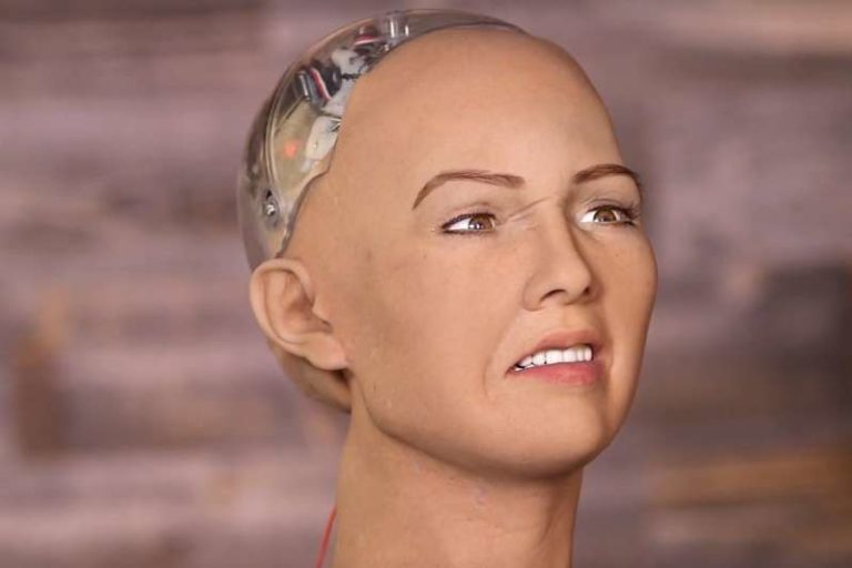 Τα βιορομπότ ζητούν να αποκτήσουν οικογένεια και παιδιά