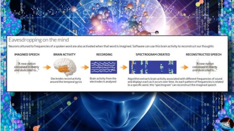 Γιατί δεν ξεσηκώνεται ο κόσμος; – Σιωπηλό Ολοκαύτωμα