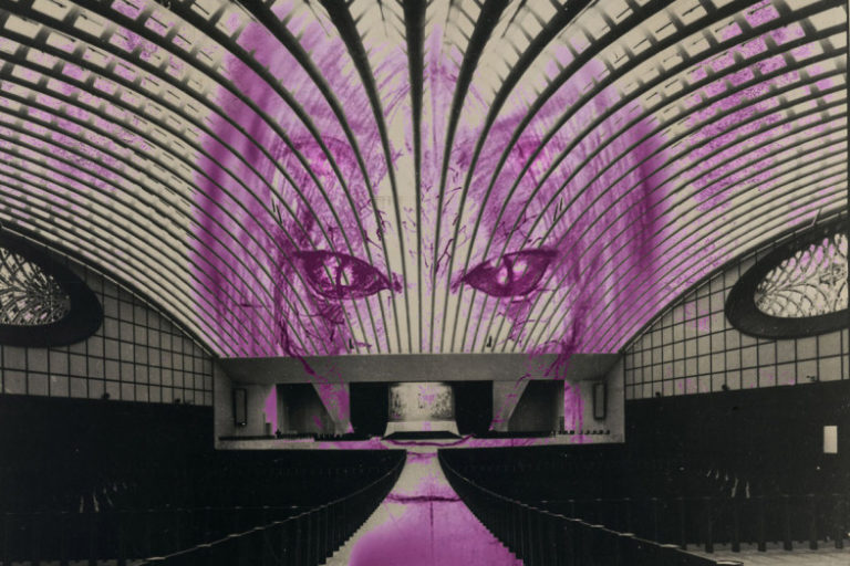 Λατρεύοντας τα Ερπετά