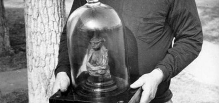 Η μυστηριώδης μούμια της “Νεράιδας” του Ουαϊόμινγκ