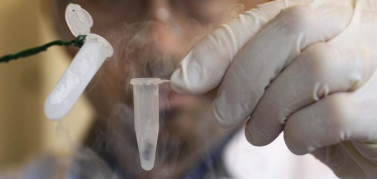 Περισσότερα από 150 Υβρίδια Ανθρώπινων Ζώων έχουν δημιουργηθεί μυστικά στα εργαστήρια του Ηνωμένου Βασιλείου