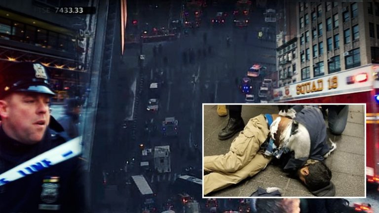 Συνελήφθη ο βομβιστής του Μανχάταν