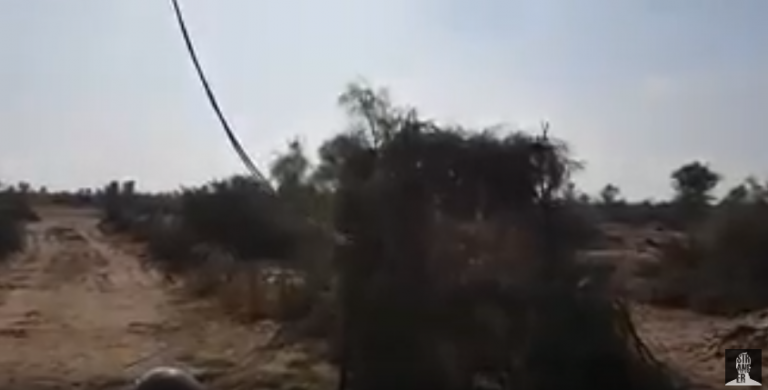 Οταν εχεις μπερδέψει την εννοια του καμουφλαζ