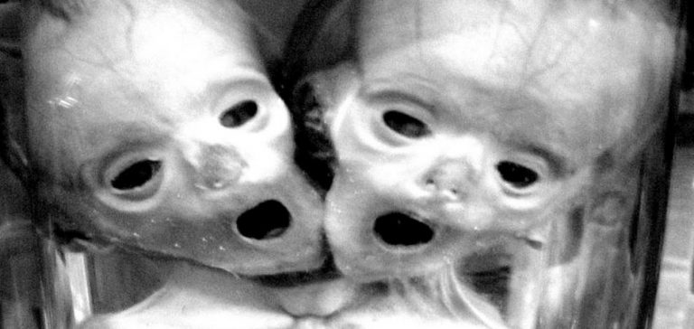 Ανησυχητικά πειράματα που διεξάγονται από κυβερνήσεις και αρχές