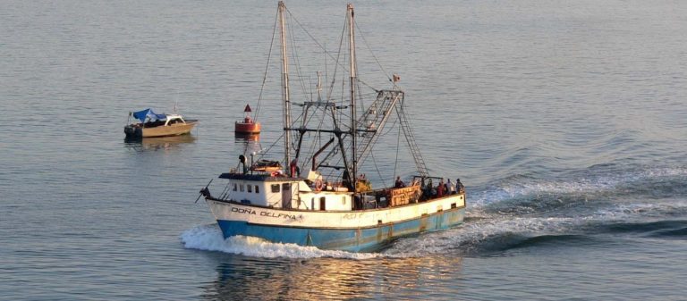 Καρέ-καρέ η «ναυμαχία» ελληνικών και τουρκικών αλιευτικών στο Θρακικό Πέλαγος – «Είναι θέμα χρόνου»