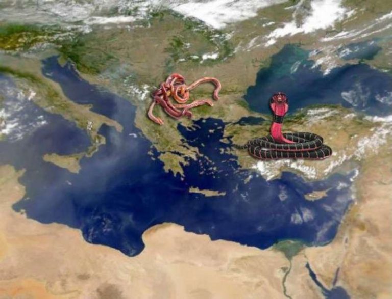 Σκόπια, Τουρκία, Αλβανία: Ολομέτωπη «επίθεση» στην Ελλάδα που παρακολουθεί Novartis