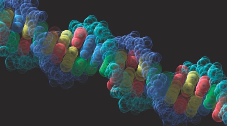 Τι δείχνει το DNA των Ελλήνων και των άλλων Βαλκανικών λαών.Κατάγονται από τα βάθη της Ασίας οι Τούρκοι;