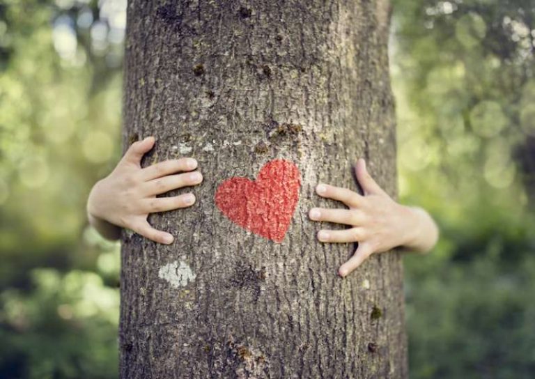 Η θολοκουλτούρα έχει «χτυπήσει» κόκκινο