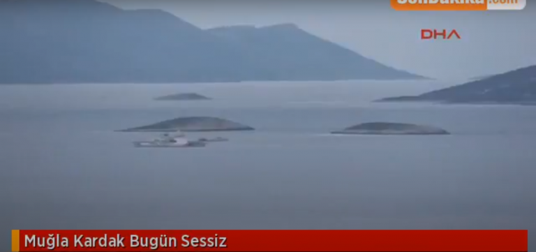 EKTAKTO – YΠΟ ΤΟΥΡΚΙΚΗ ΠΟΛΙΟΡΚΙΑ ΕΔΩ ΚΑΙ ΛΙΓΗ ΩΡΑ ΤΑ ΙΜΙΑ! ΔΕΝ ΕΙΝΑΙ ΠΛΕΟΝ ΓΚΡΙΖΑ ΖΩΝΗ! ΔΕΙΤΕ ΤΟ ΒΙΝΤΕΟ ΝΤΟΚΟΥΜΕΝΤΟ! ΜΕΤΑΦΕΡΟΥΜΕ ΤΩΡΑ ΔΥΝΑΜΕΙΣ ΣΤΗ ΚΑΛΟΛΙΜΝΟ! ΞΥΠΝΗΣΤΕ ΡΕ ΠΡΟΔΟΤΕΣ ΚΑΙ ΜΗ ΜΑΣ ΔΙΑΣΥΡΕΤΕ ΑΛΛΟ!