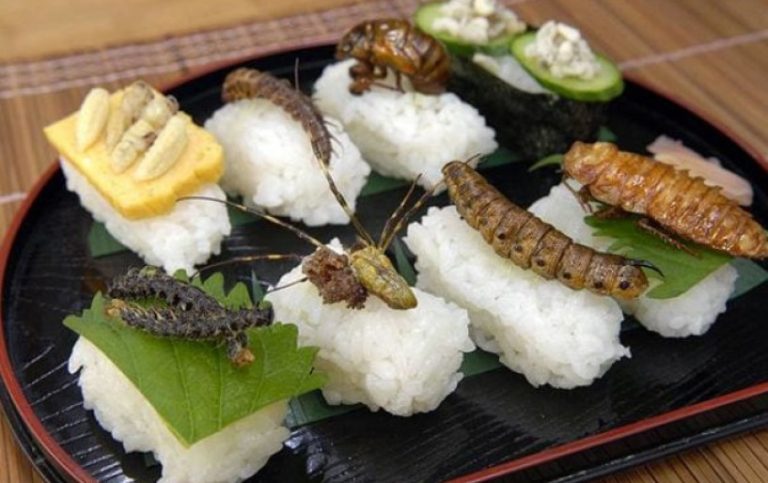 Εντομοφαγία με «σφραγίδα» ΙΚΕΑ