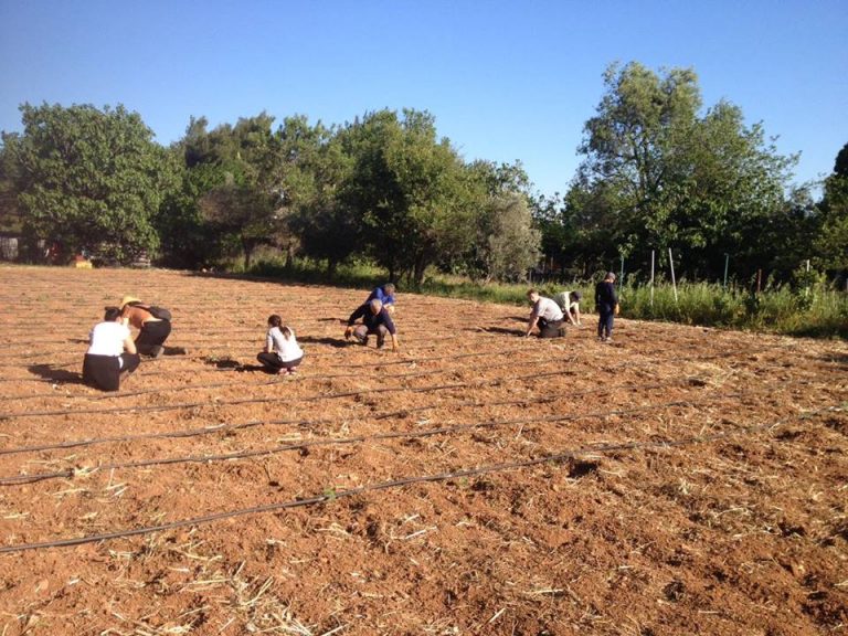 Η πρωτη ομαδα της πολυσυμμετοχικης γεωργιας-κτηνοτροφιας και προστασιας ξεκινησε !!