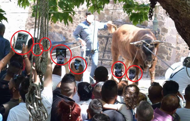 Χριστιανοί στη Λέσβο βασάνισαν και έσφαξαν παράνομα έναν ταύρο για να τιμήσουν τον Ταξιάρχη Μιχαήλ