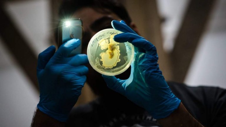 Για πρώτη φορά επιστήμονες μετέφεραν μια μνήμη από το ένα ζώο στο άλλο