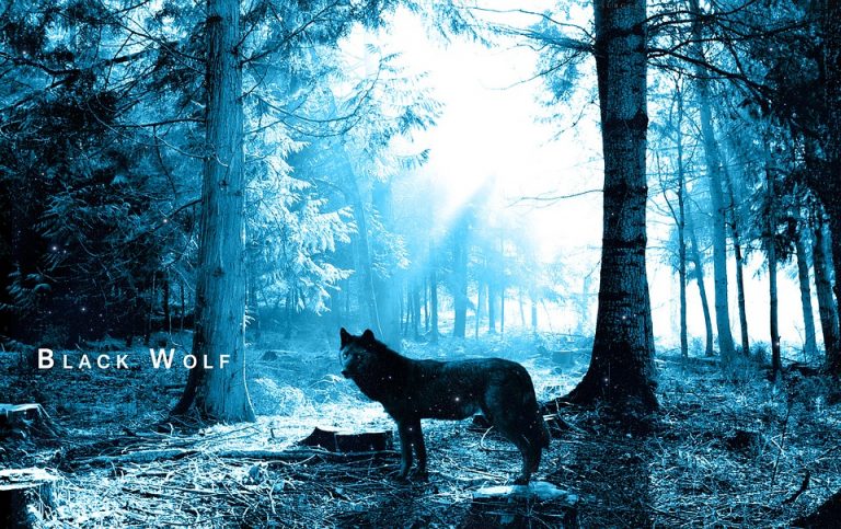 8 χρόνια οικονομικός πόλεμος  και τράβηξα γραμμή για να κάνω τη σούμα…!