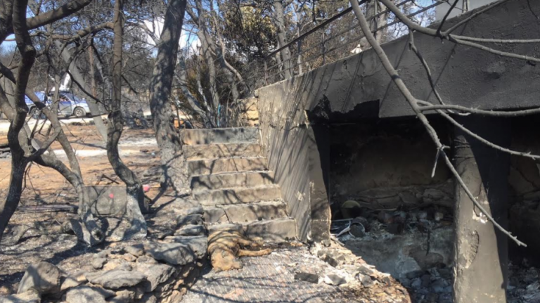 Αποκάλυψη για το οικόπεδο της φρίκης: «Υπήρχε πρόσβαση στην παραλία και δεν την είδαν», λέει ο ιδιοκτήτης του