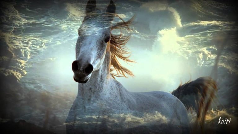 Eνώνοντας τις  τελειες….Ofthal mos αντι Οφθαλμου !