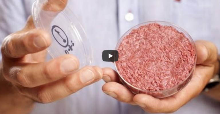 Μια πολύ σημαντική είδηση, εν μέσω της επικαιρότητας για τις φονικές πυρκαγιές