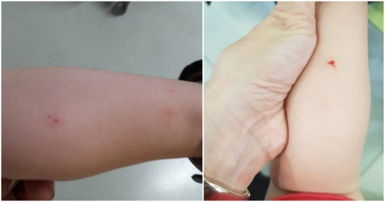 Συνελήφθη η 55χρονη γυναίκα που χαράκωσε βρέφη στα νότια προάστια -Στον ίδιο χώρο που είχε επιτεθεί