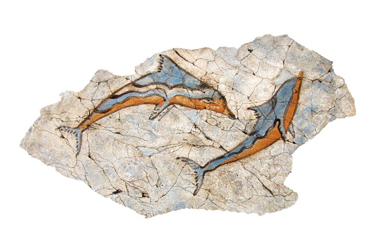 ΤΟ «ΔΙΚΑΙΩΜΑ» ΤΟΥ ΣΠΑΡΟΥ ΝΑ ΔΗΛΩΝΕΙ ΔΕΛΦΙΝΙ …