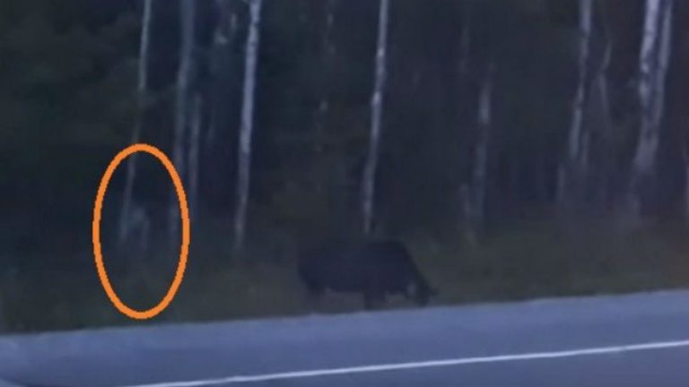 Μία οικογένεια κατέγραψε ένα πλάσμα που μοιάζει σαν το Γκόλουμ από τον «Άρχοντα των Δαχτυλιδιών»