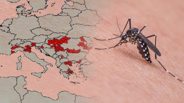 Επιδημική έξαρση του ιού του Νείλου