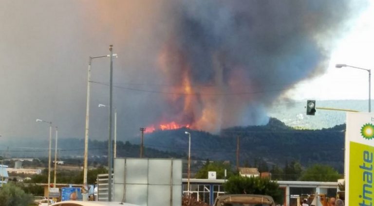 Εύβοια φωτιά-ΕΦΘΑΣΕ στα ΨΑΧΝΑ – PHOTO