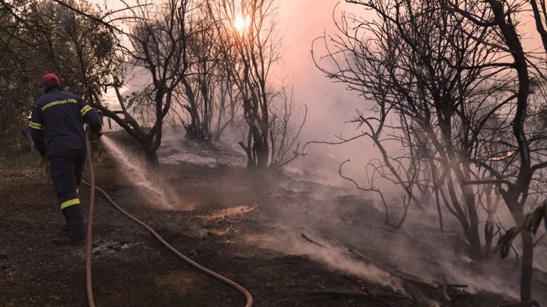 Φωτιά στην Εύβοια: Δεν υπάρχουν πλέον ενεργά μέτωπα