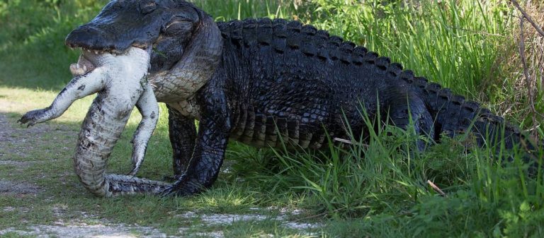 ΣΕ ΚΑΤΑΣΠΑΡΆΖΟΥΝ 9 ΧΡΌΝΙΑ…