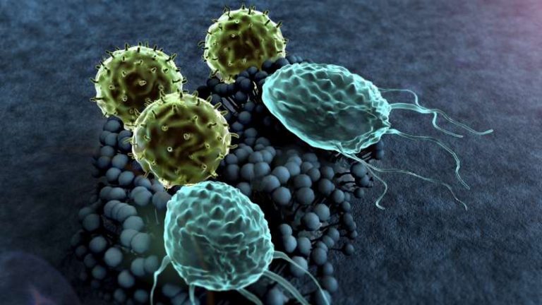 Ο ζυμομύκητας Κάντιντα (Candida) και τα αυτοάνοσα νοσήματα