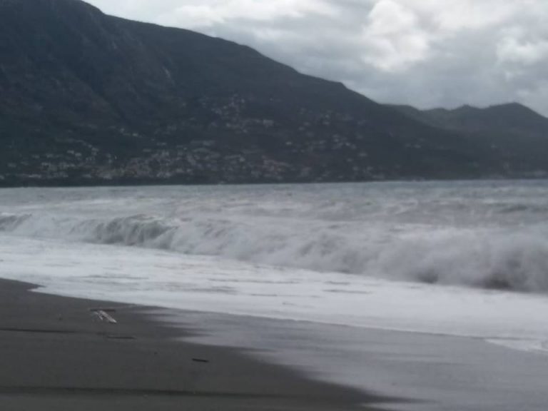 Η Μουσικουλα της Ημερα ..