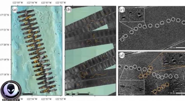 Πατημασιές άγνωστου θηριώδους πλάσματος στους βυθούς του πλανήτη ξαφνιάζουν τους επιστήμονες