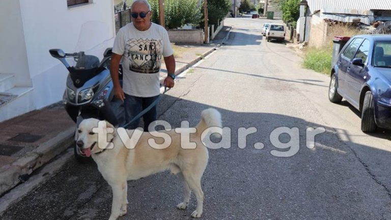 Κάτοικος της Στυλίδας «έφαγε» πρόστιμο 500 ευρώ επειδή ο σκύλος του… γαβγίζει!
