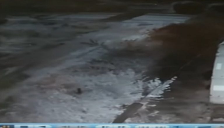 Τρόμος στην Κοζάνη: Τι ήταν αυτό που άρπαξε το σκύλο από την αυλή;