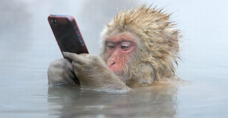 Πλύσου κι έλα με την όπισθεν να μας… καταστρέψεις σε 3-4 ώρες γελοίε!