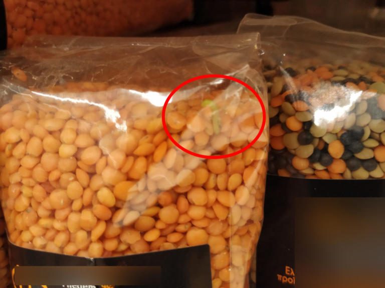 Απίστευτες εικόνες! Σκουλήκια μέσα σε κλειστές συσκευασίες με φακές!