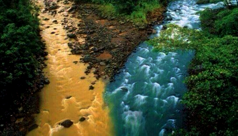 38.000.000 μετανάστες θέλουν να φέρουν στην Ελλάδα!