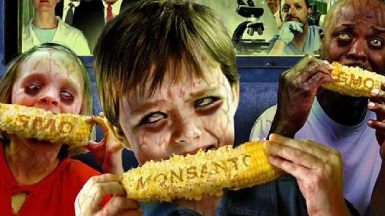 ΓΕΝΕΤΙΚΆ ΤΡΟΠΟΠΟΙΗΜΈΝΑ ΠΑΙΔΙΆ! ΠΩΣ Η MONSANTO ΔΗΜΙΟΎΡΓΗΣΕ ΜΌΝΙΜΕΣ ΓΕΝΕΤΙΚΈΣ ΑΝΩΜΑΛΊΕΣ ΣΤΑ ΓΟΝΊΔΙΑ ΤΩΝ ΠΑΙΔΙΏΝ ΑΓΡΟΤΏΝ;
