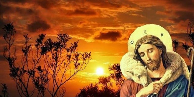 Όταν θέλει το πρόβατο να γίνει τσοπανόσκυλο…