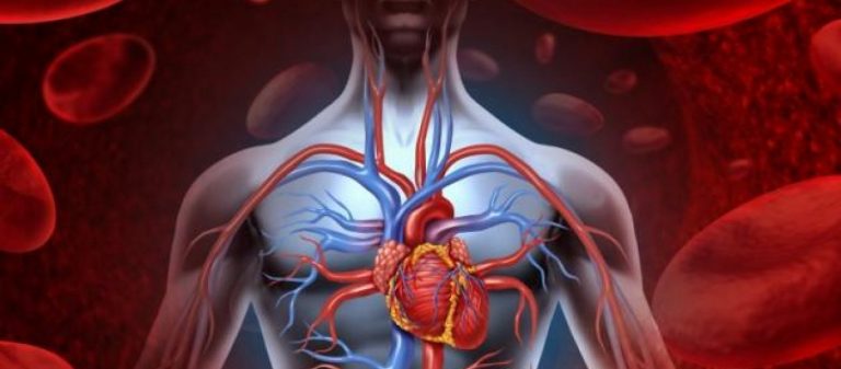 Πώς θα καταλάβετε αν φράζουν οι αρτηρίες σας
