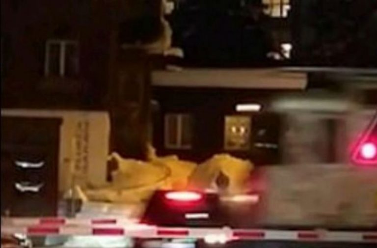 Σοκαριστικό βίντεο: Τρένο παρέσυρε το αυτοκίνητό τους, όμως βγήκαν ζωντανοί!