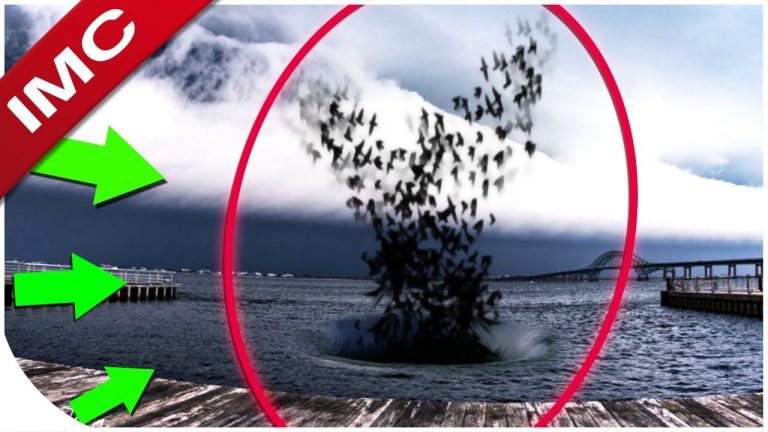 ΚΆΤΙ ΠΑΡΆΞΕΝΟ ΣΥΜΒΑΊΝΕΙ ΣΕ ΌΛΟ ΤΟΝ ΠΛΑΝΉΤΗ, ΑΛΛΆ ΑΥΤΉ ΤΗ ΦΟΡΆ ΕΊΝΑΙ ΔΙΑΦΟΡΕΤΙΚΌ….ΒΊΝΤΕΟ