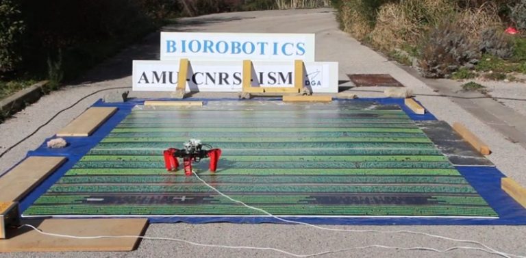 Μηχανικοί έφτιαξαν το πρώτο ρομπότ που κινείται χωρίς GPS, αλλά με… ουράνια πυξίδα