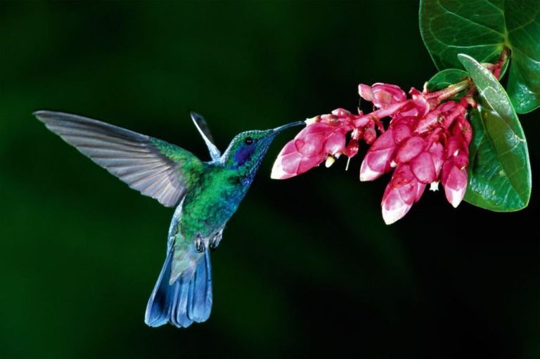 43 γεγονότα που ακούγονται σαν ψέματα, αλλά είναι απολύτως αληθινά