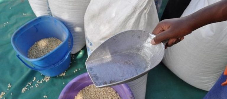 Έφαγαν το φαγητό που τους μοίρασαν και πέθαναν!